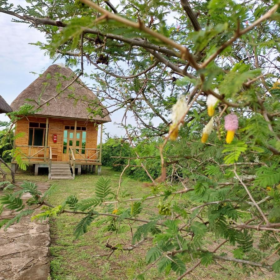 Engiri Game Lodge And Campsite Katunguru エクステリア 写真